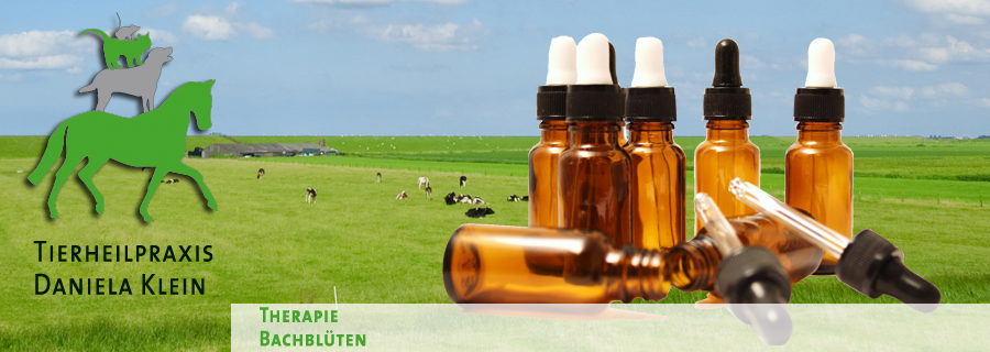 Bachblüten Therapie