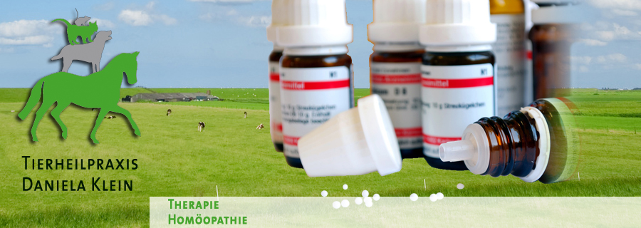 Homöopathie