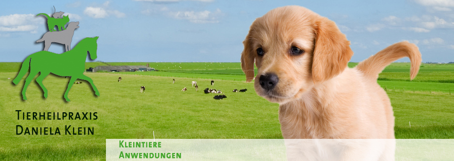 Kleintiere
